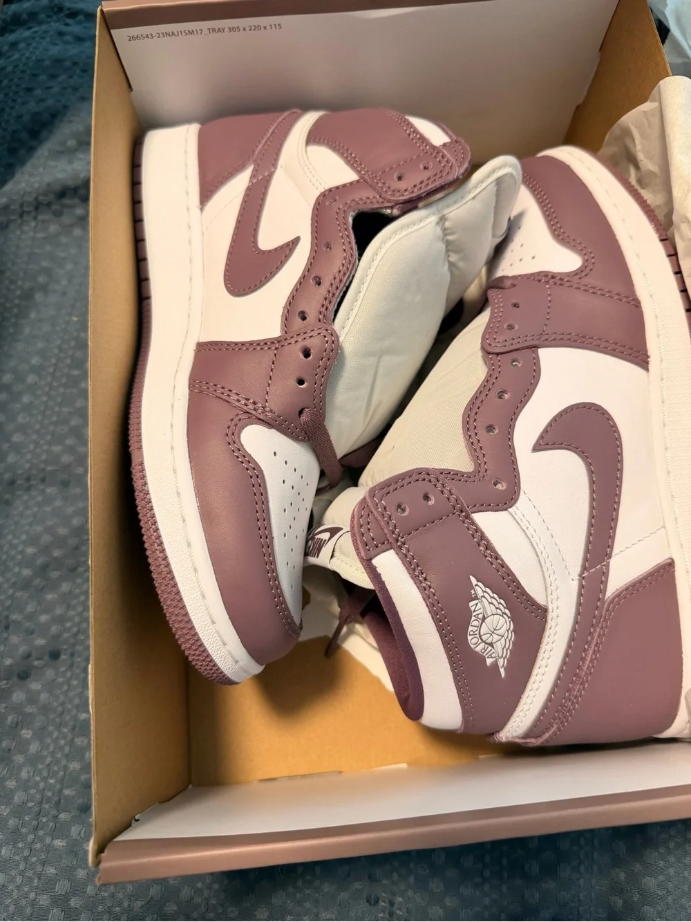 Jordan Women’s High Top Sneakers in White and Mauve